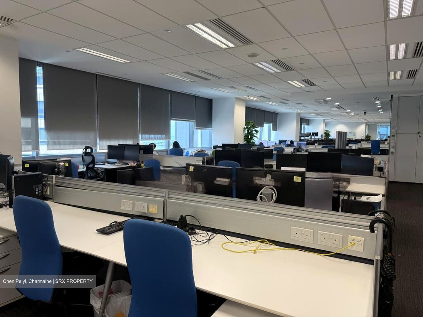 Mapletree Anson (D2), Office #451553921